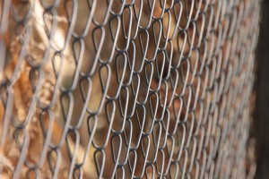 Metal Chain Link Fence