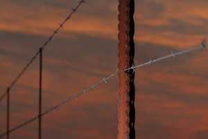 Barbed wire fence with rust
