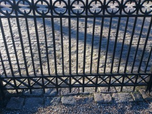 Wrought Iron Ornamental Fence