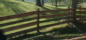 Wood fence around golf course