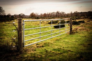 Farm fence with gate
