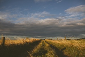 Country road with barbed wire fence on both sides