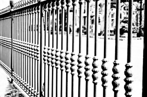 Wrought Iron Fence black and white
