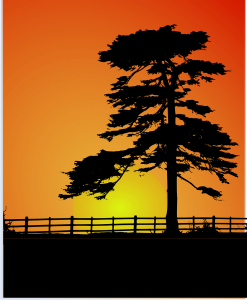 Beautiful sunset with Split Rail Wood Fence